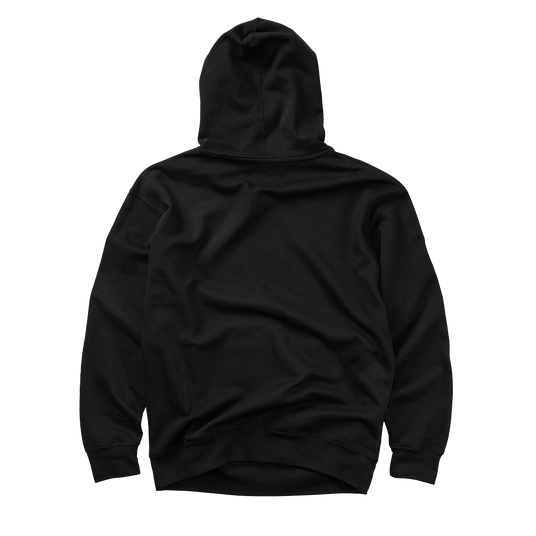 POST MALONE x H-D CHROME MALONE PULLOVER HOODIE BACK